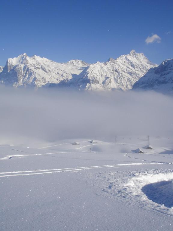 Chalet Asterix Grindelwald Zewnętrze zdjęcie