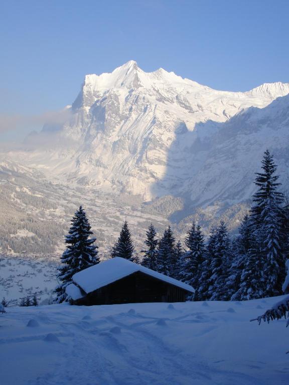 Chalet Asterix Grindelwald Zewnętrze zdjęcie