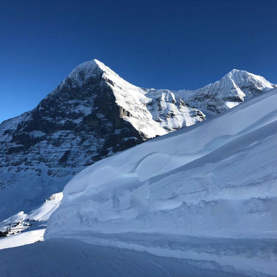 Chalet Asterix Grindelwald Zewnętrze zdjęcie